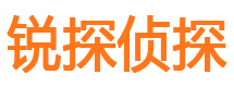 金平市侦探调查公司